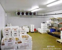 深耕冷链科技，守护海鲜鲜活——大连生鲜冷库安装·维修·销售·电子设备工程一站式服务